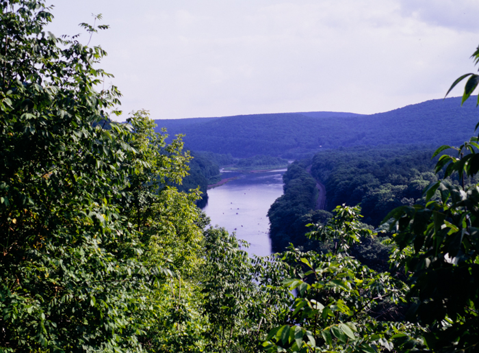 minerva_deak_f_c3_s3_84_1993-011