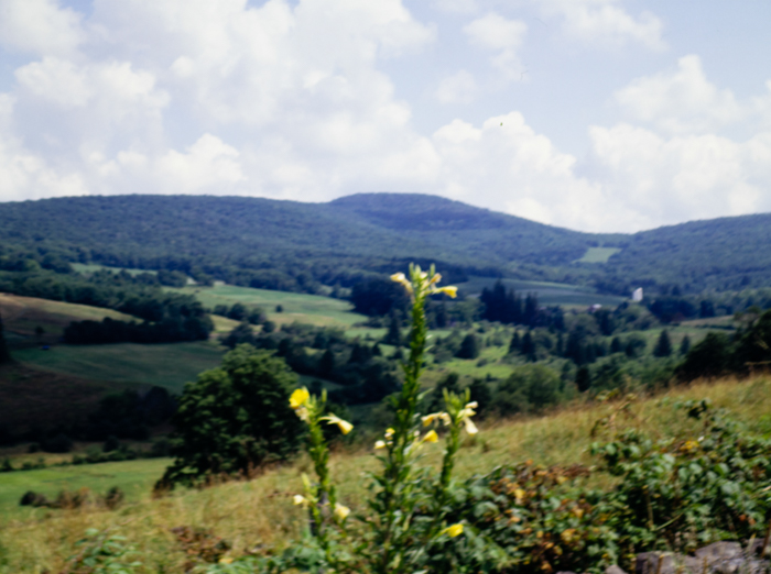 minerva_deak_f_c3_s3_85_1993-006