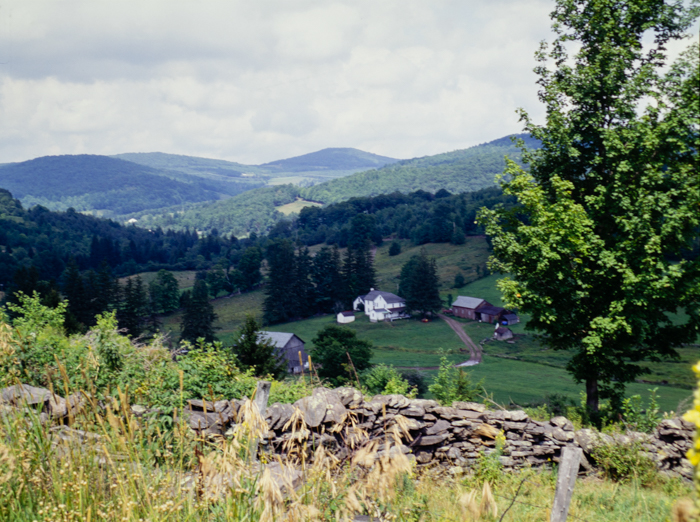 minerva_deak_f_c3_s3_85_1993-007