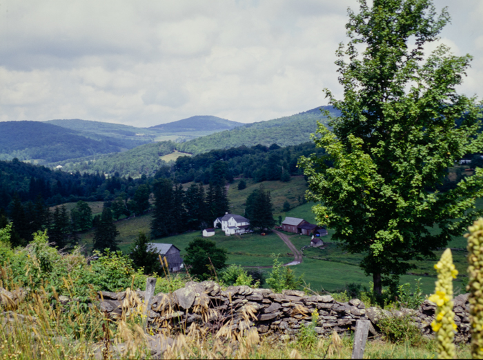 minerva_deak_f_c3_s3_85_1993-008