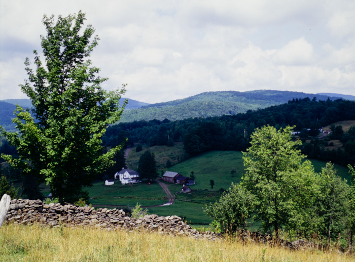 minerva_deak_f_c3_s3_85_1993-011