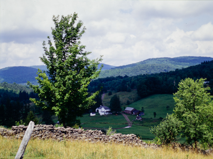 minerva_deak_f_c3_s3_85_1993-012