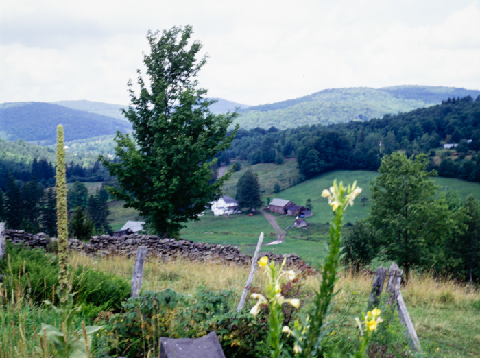 minerva_deak_f_c3_s3_85_1993-013