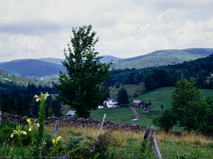 minerva_deak_f_c3_s3_85_1993-014