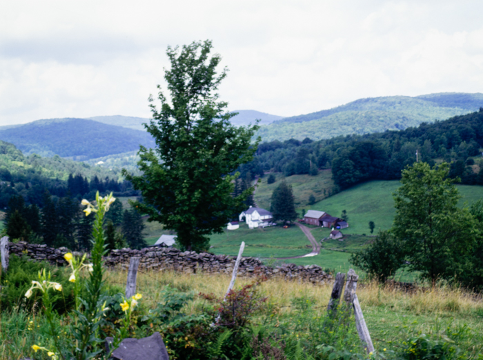 minerva_deak_f_c3_s3_85_1993-015