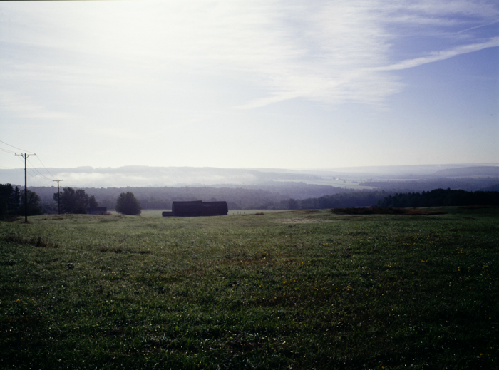 minerva_deak_f_c3_s3_88_1993_fillmore-001