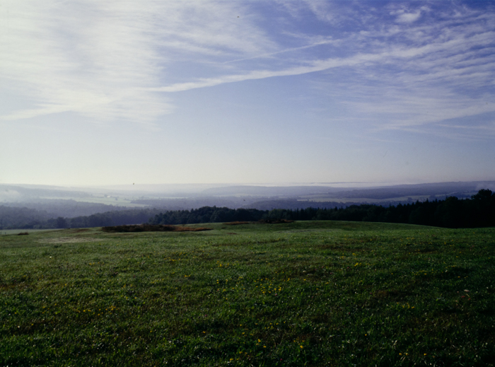 minerva_deak_f_c3_s3_88_1993_fillmore-002