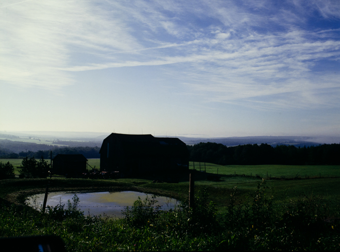 minerva_deak_f_c3_s3_88_1993_fillmore-005