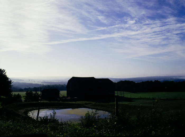 minerva_deak_f_c3_s3_88_1993_fillmore-006