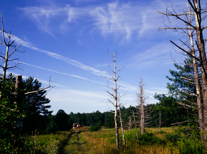 minerva_deak_f_c3_s3_88_1993_fillmore-012