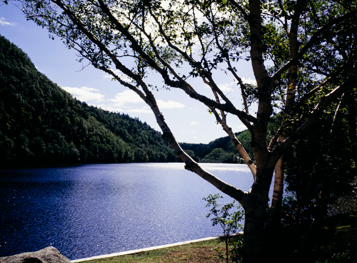 minerva_deak_f_c3_s3_92_1993_lake_placid-006