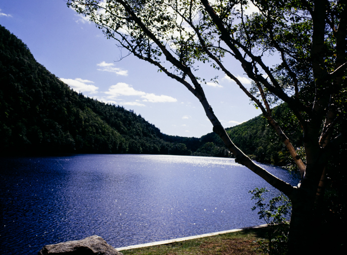 minerva_deak_f_c3_s3_92_1993_lake_placid-007