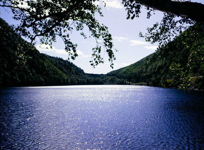 minerva_deak_f_c3_s3_92_1993_lake_placid-008