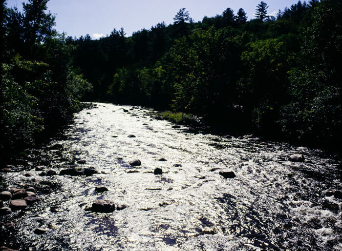 minerva_deak_f_c3_s3_92_1993_lake_placid-010