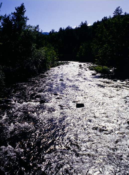 minerva_deak_f_c3_s3_92_1993_lake_placid-011
