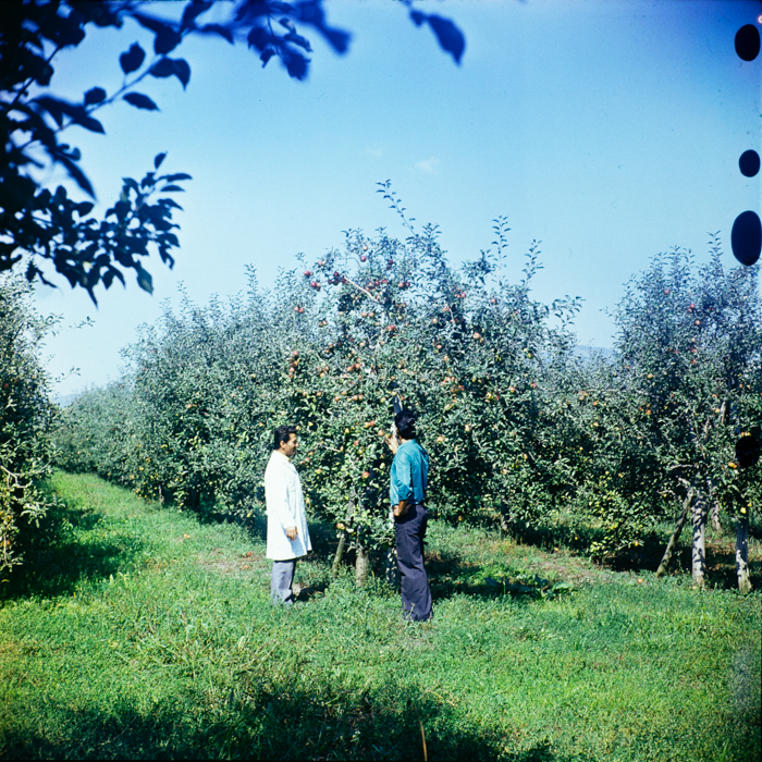 minerva_deak_f_c3_s3_93_román-031