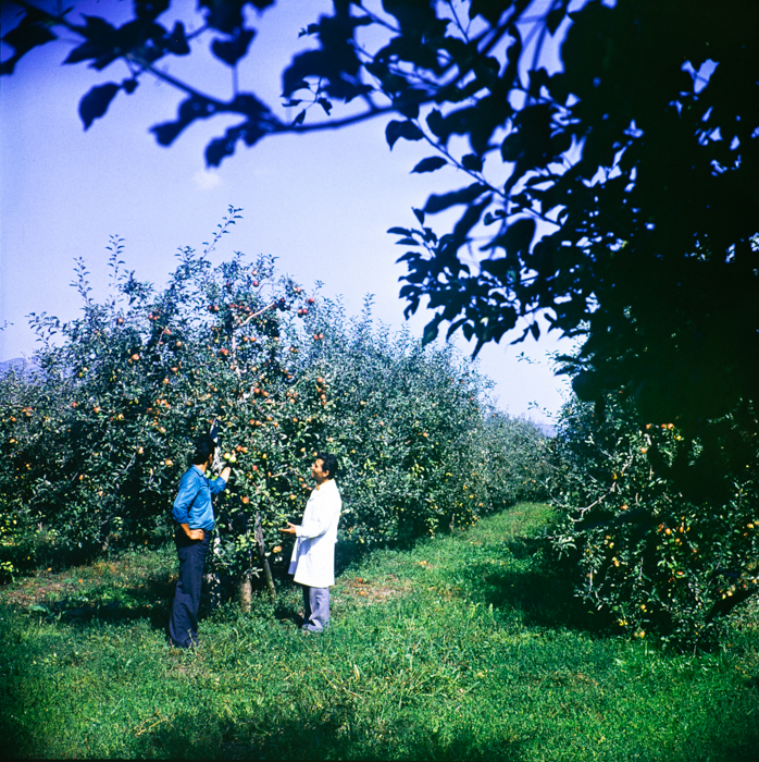 minerva_deak_f_c3_s3_93_román-033