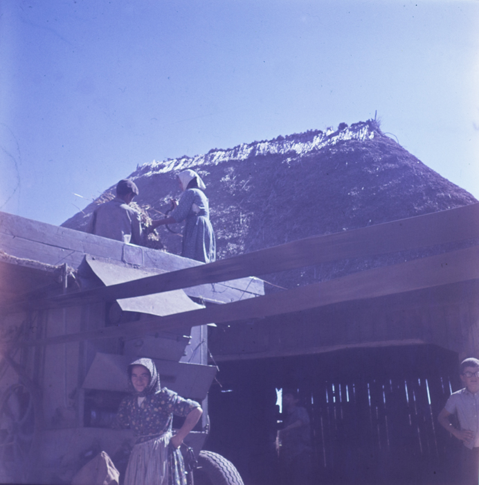 minerva_deak_f_c3_s3_93_román-035