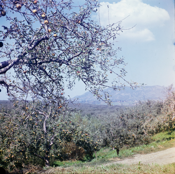 minerva_deak_f_c3_s3_93_román-040