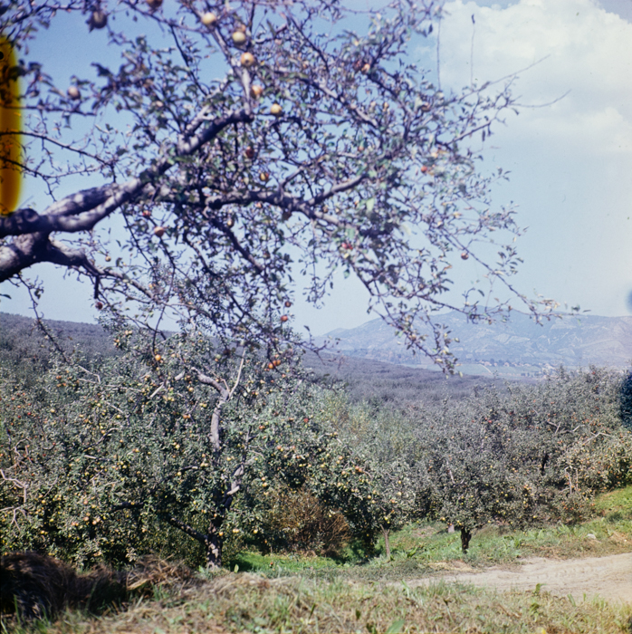 minerva_deak_f_c3_s3_93_román-041