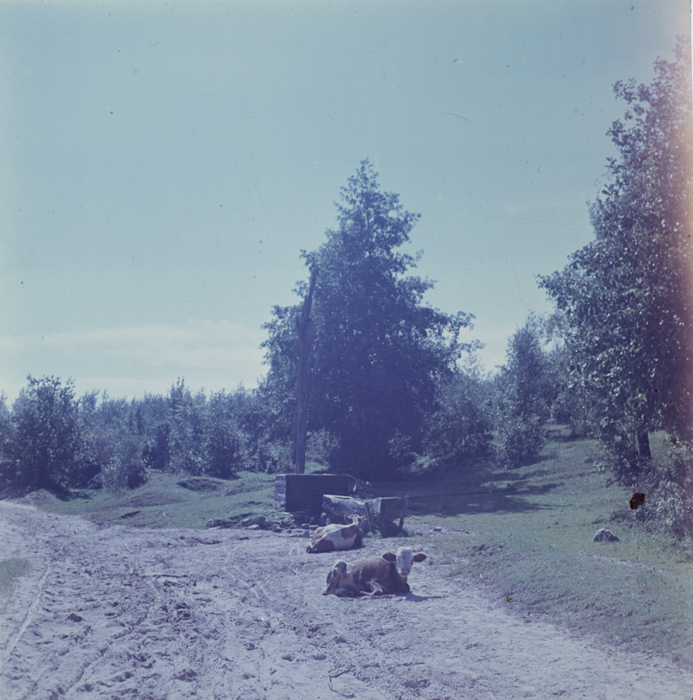 minerva_deak_f_c3_s3_93_román-042