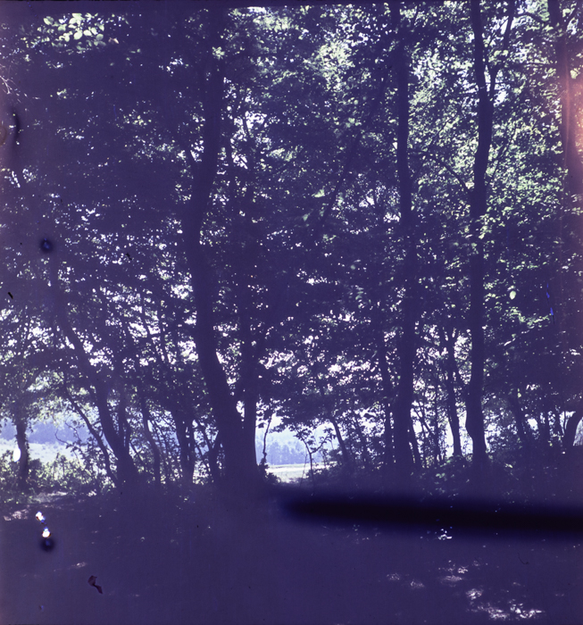 minerva_deak_f_c3_s3_93_román-043