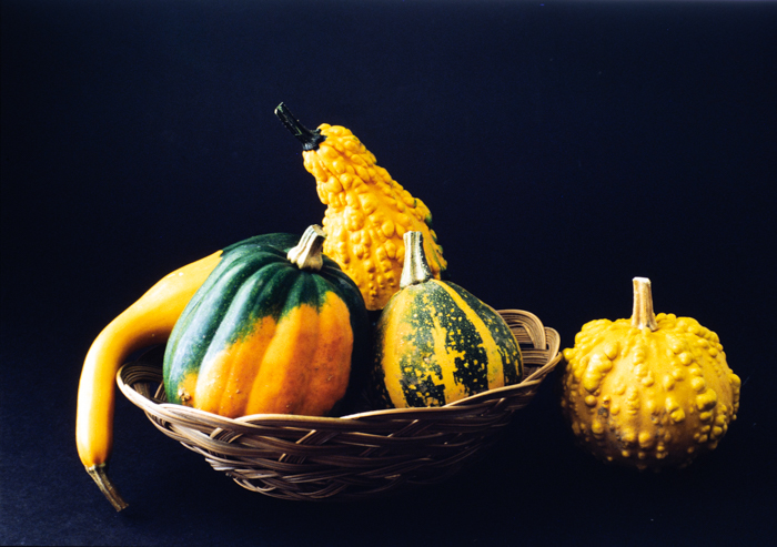 minerva_deak_f_c3_s3_94_kiállítás-002