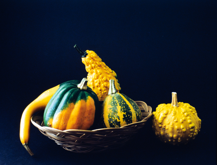 minerva_deak_f_c3_s3_94_kiállítás-003