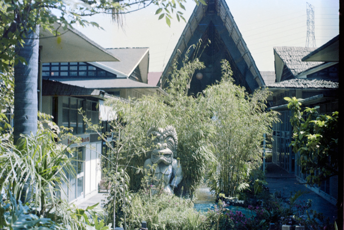 minerva_deak_f_c4_23_186_mexico_030