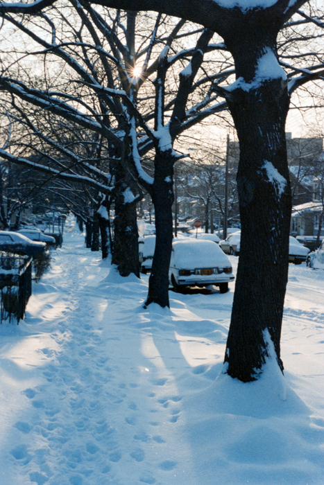 minerva_deak_f_c4_s1_114_1979_jan_s.t.b_065