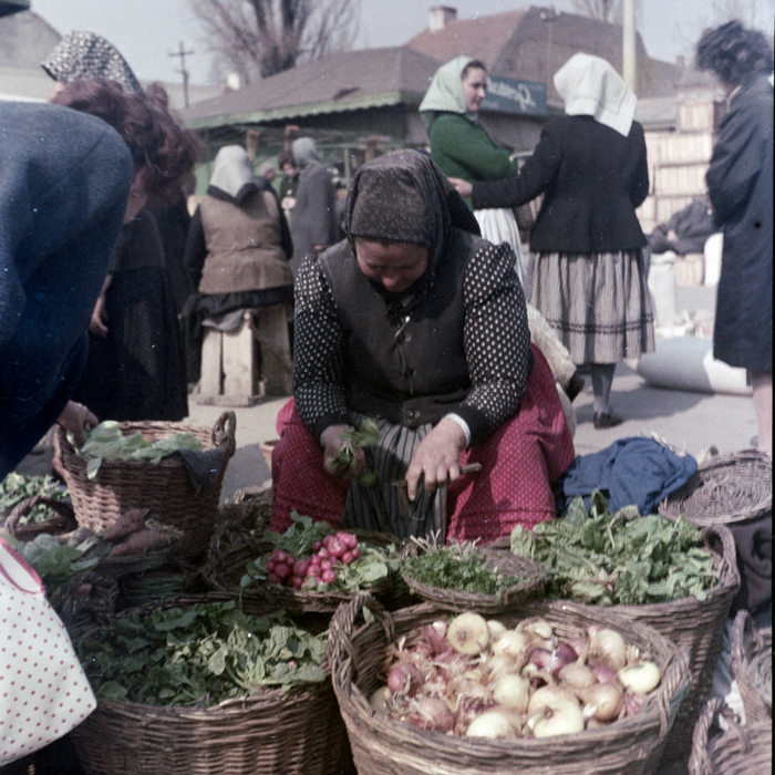 minerva_deak_f_c4_s1_119_004