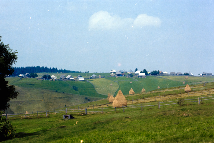 minerva_deak_f_c4_s1_120_1980_aug_cluj_021