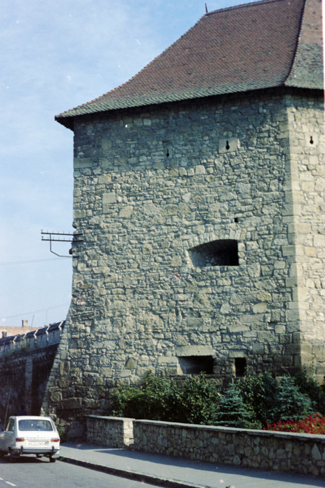 minerva_deak_f_c4_s1_121_001