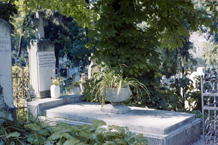 minerva_deak_f_c4_s1_121_006