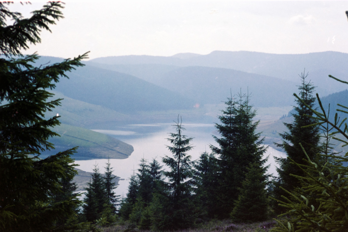 minerva_deak_f_c4_s1_121_019