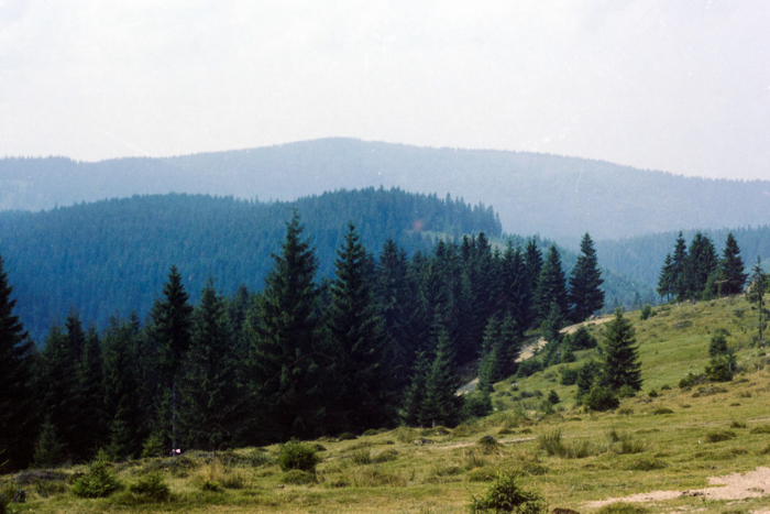 minerva_deak_f_c4_s1_121_027