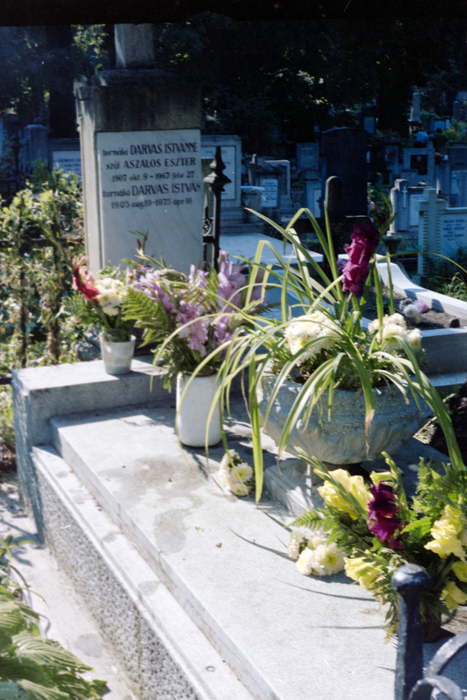 minerva_deak_f_c4_s1_122_004