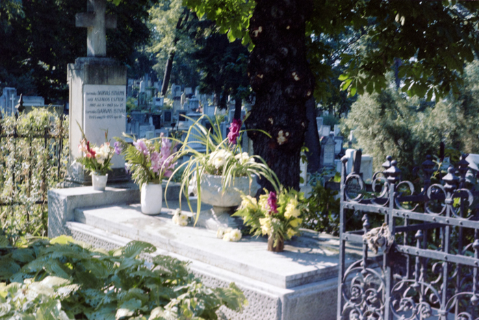 minerva_deak_f_c4_s1_122_005