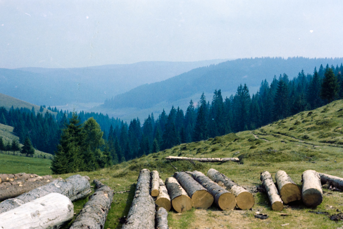 minerva_deak_f_c4_s1_122_040