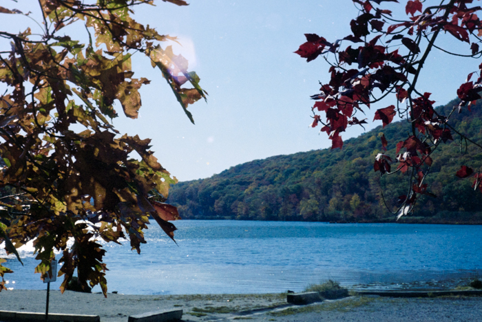 minerva_deak_f_c4_s1_125_1980_szept_011