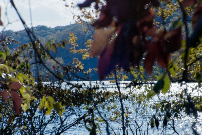 minerva_deak_f_c4_s1_125_1980_szept_023