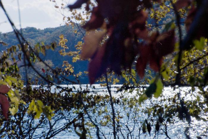 minerva_deak_f_c4_s1_125_1980_szept_024