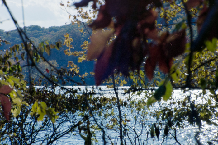 minerva_deak_f_c4_s1_125_1980_szept_025