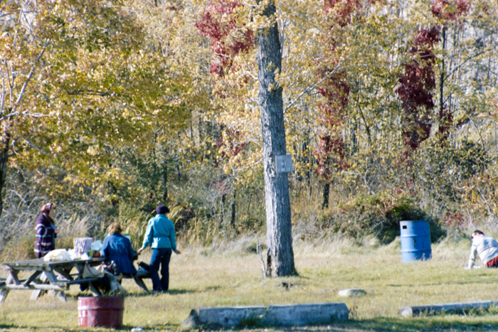 minerva_deak_f_c4_s1_125_1980_szept_030