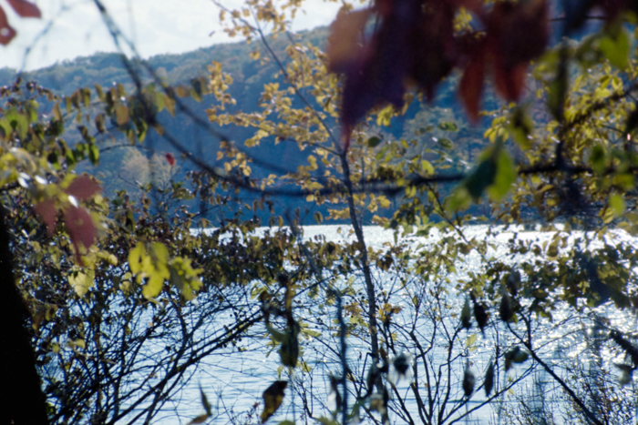 minerva_deak_f_c4_s1_125_1980_szept_033