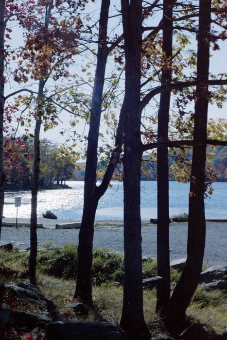 minerva_deak_f_c4_s1_125_1980_szept_036