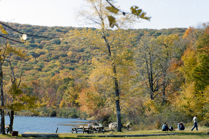 minerva_deak_f_c4_s1_125_1980_szept_038