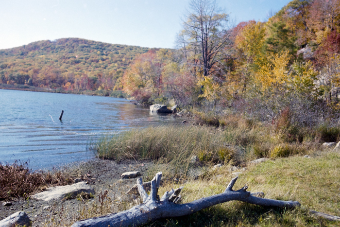 minerva_deak_f_c4_s2_126_boston_005