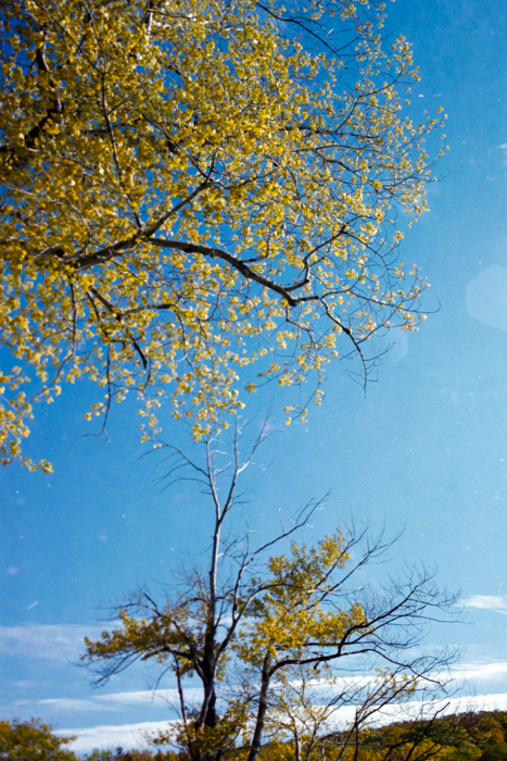 minerva_deak_f_c4_s2_126_boston_006