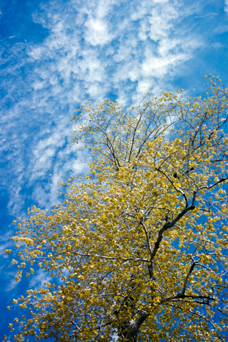 minerva_deak_f_c4_s2_126_boston_007